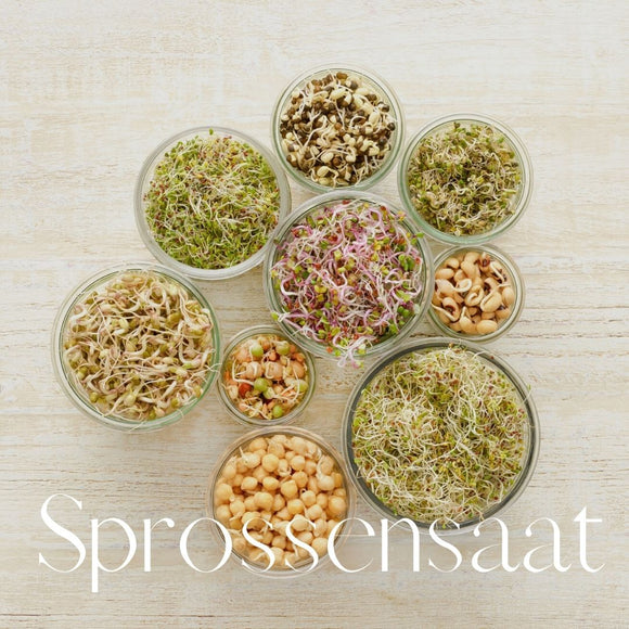 Sprossensaat