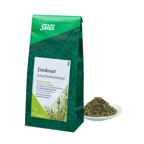 Zinnkraut